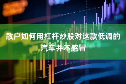 散户如何用杠杆炒股对这款低调的汽车并不感冒