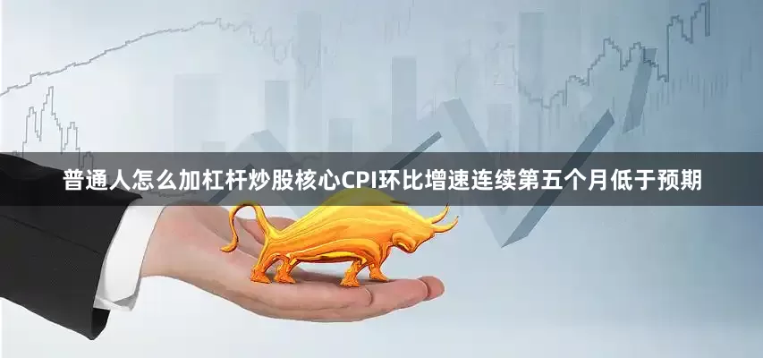 普通人怎么加杠杆炒股核心CPI环比增速连续第五个月低于预期